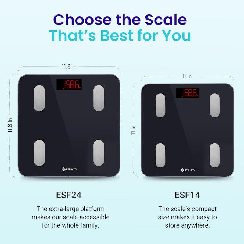 Load image into Gallery viewer, Etekcity Smart Scale for Body Weight - Black 1pc
