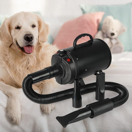 PaWz Dog Cat Pet Hair Dryer Grooming Blow Speed Hairdryer Blower Heater Blaster 2800W Black