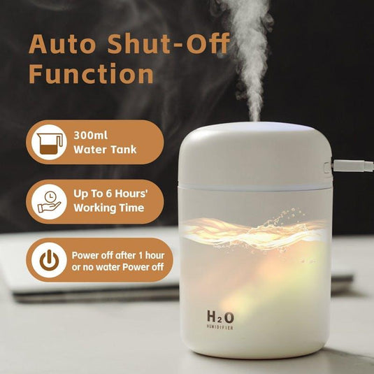 Living Today Mini LED Ultrasonic Humidifier 300ML 1Unit