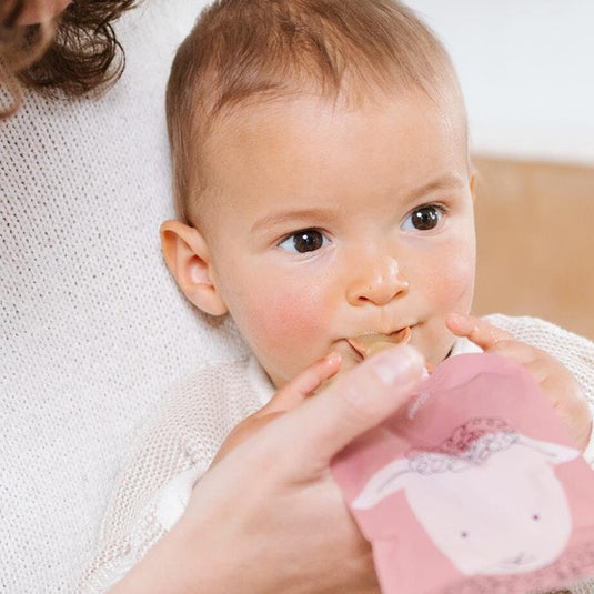 Cherub Baby On the Go Reusable Food Pouches | Bundle Kit | Cerulean & Sage Pack