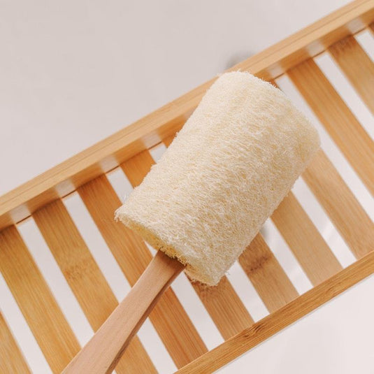 Clevinger  Bath Shower Long Handle Body Brush Scrubber Brush Set